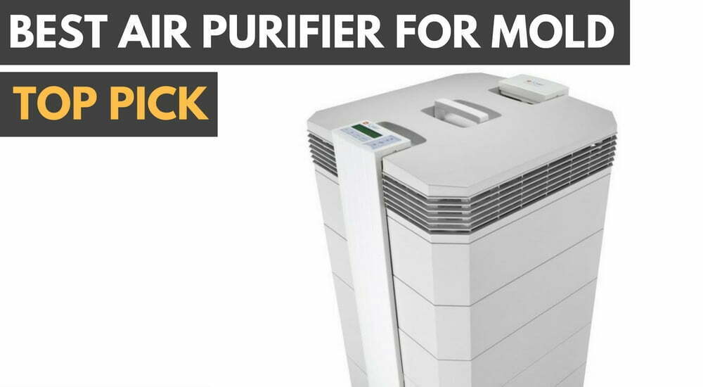 The top air purifiers to protect from mold.