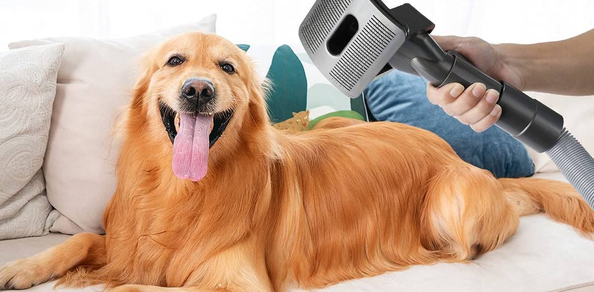 best dog vacuum brush