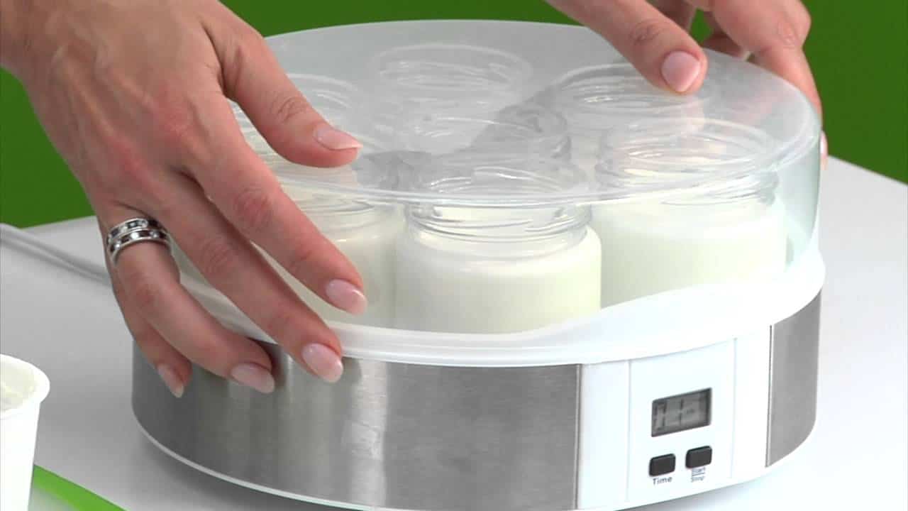 Best Homemade Yogurt Maker