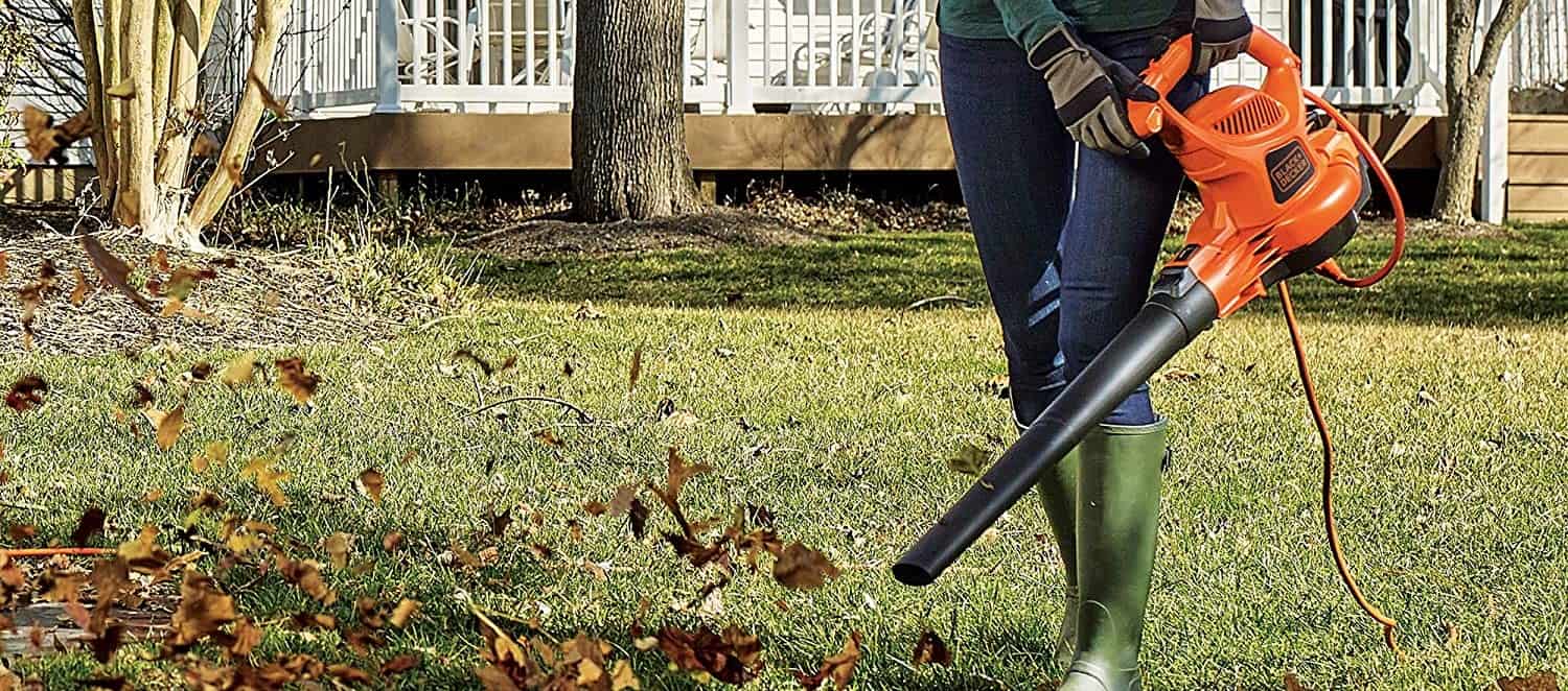 best leaf vacuum