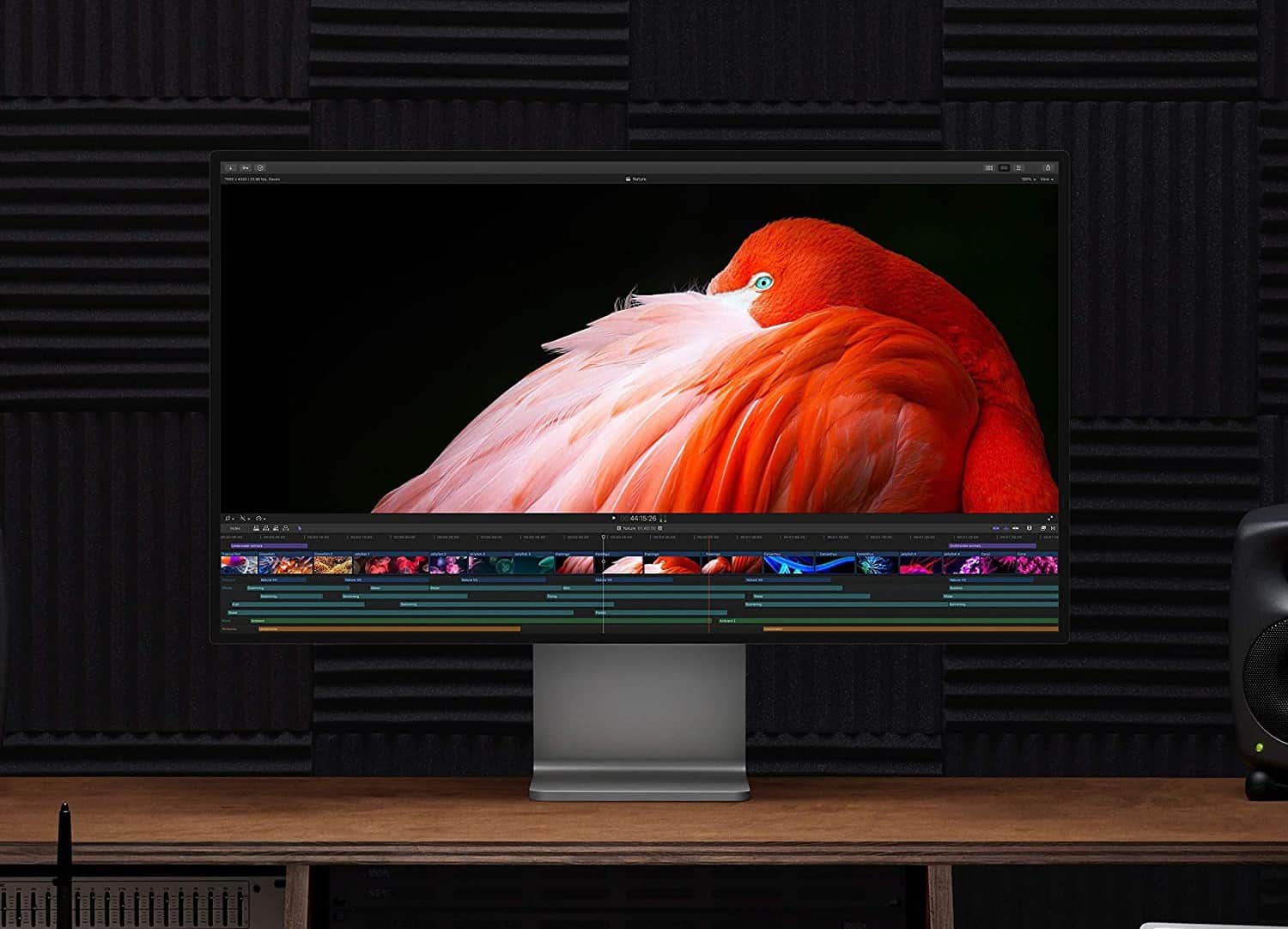 best thunderbolt monitor