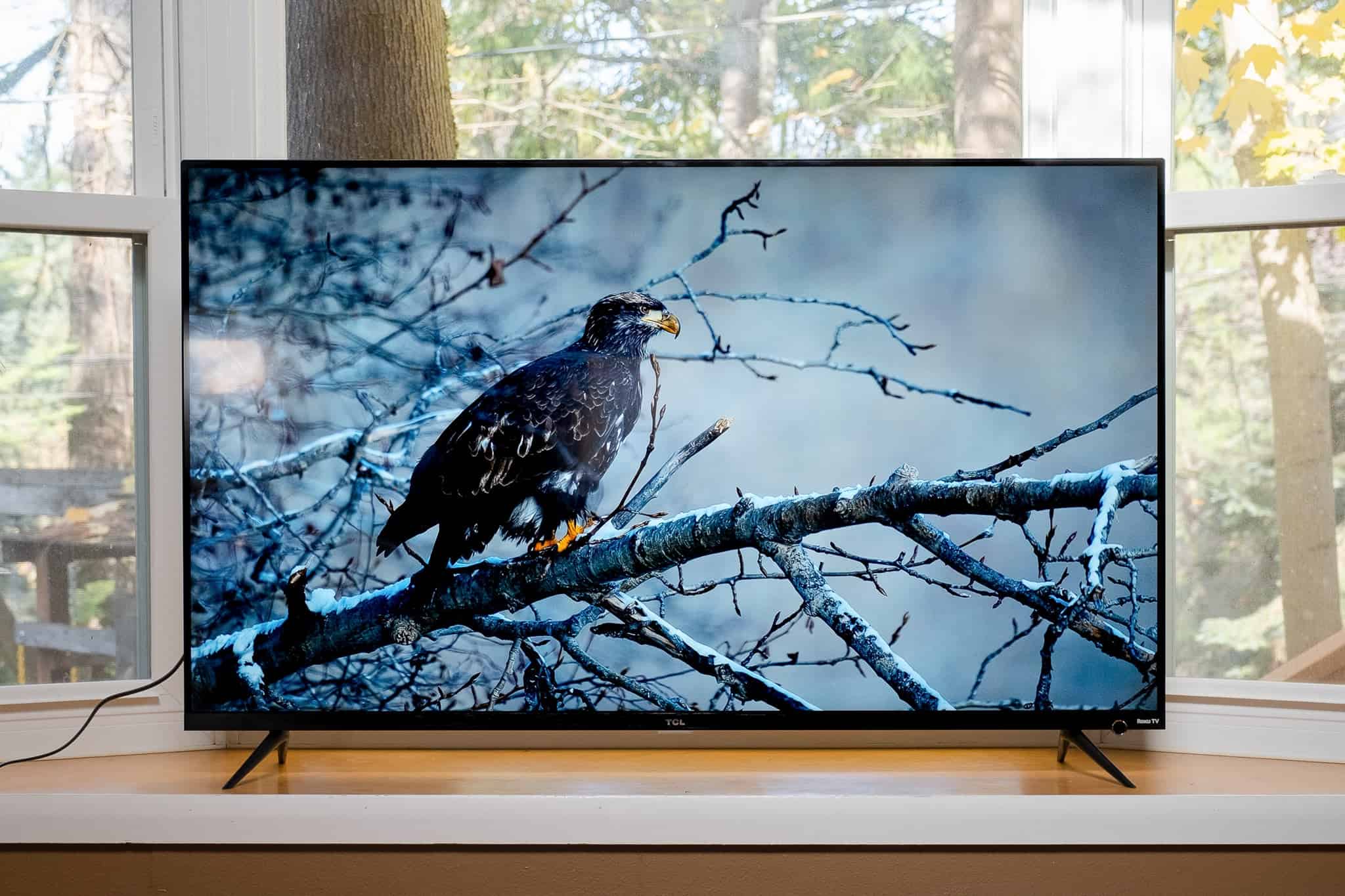 Best TV for Bright Room