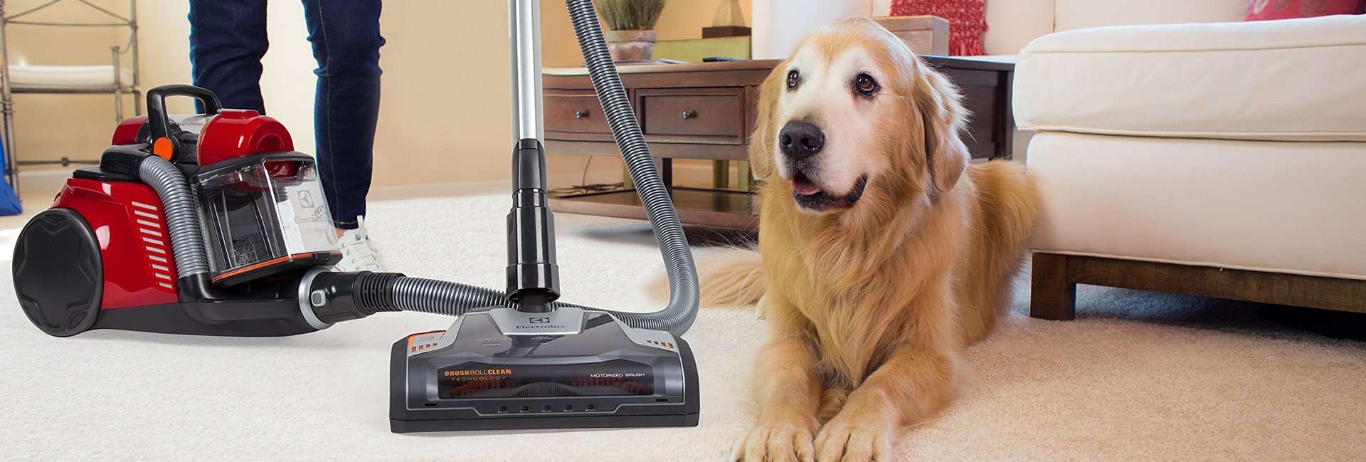 Best Vacuums for Pet Hair